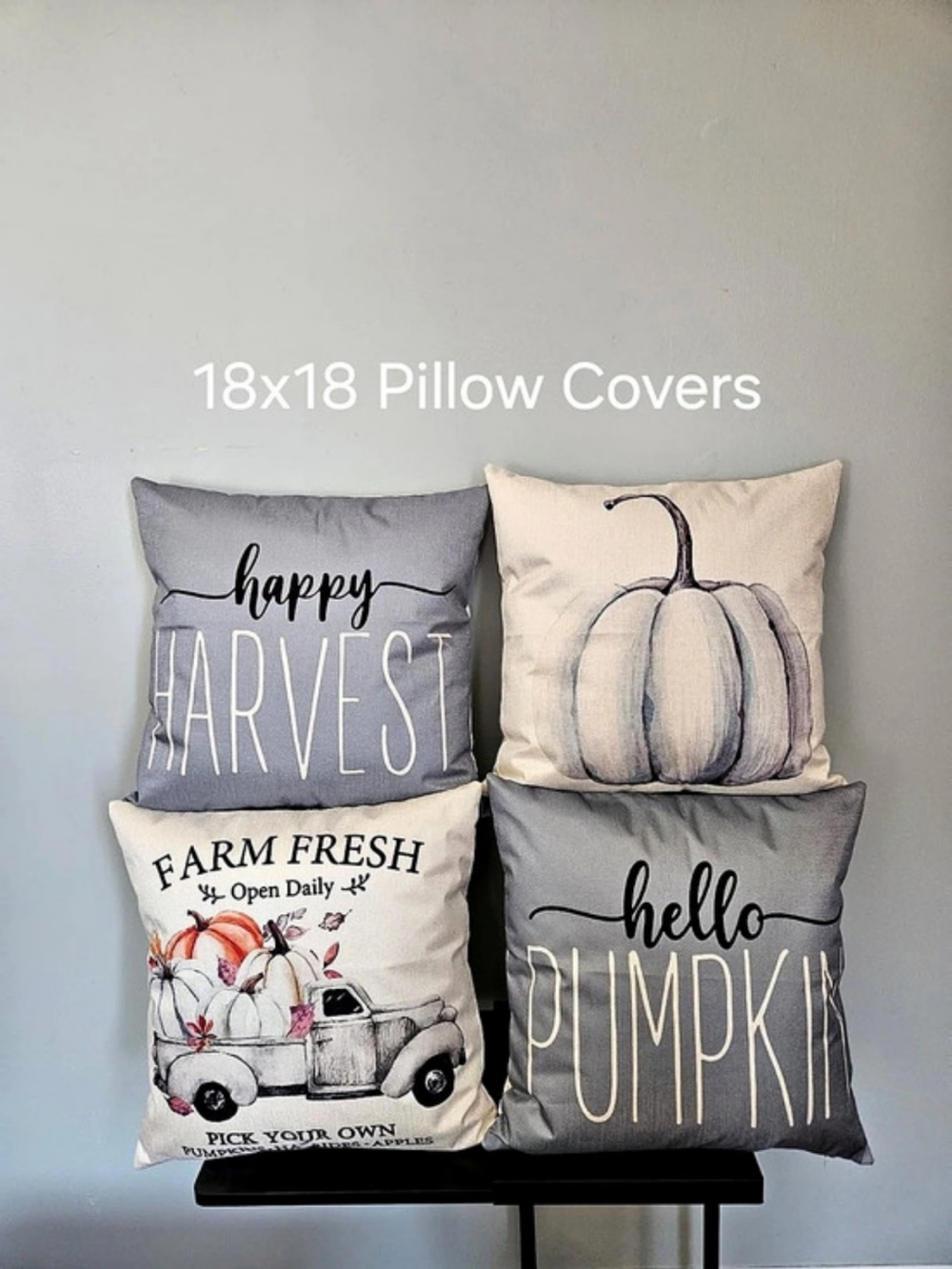 18x18 Fall Accent Pillow Covers Set